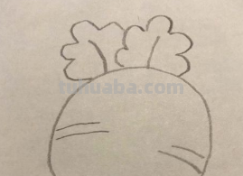 萝卜简笔画