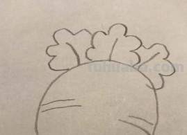 萝卜简笔画