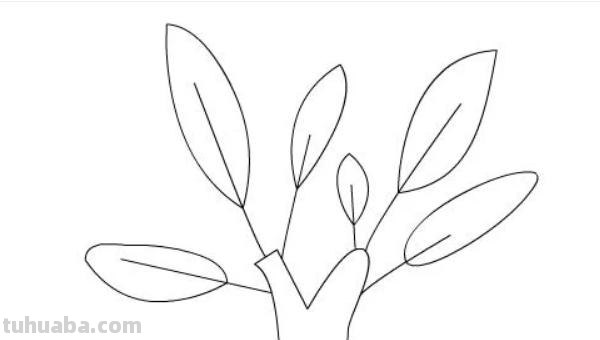 简笔画树怎么画 大树的简笔画怎么画？