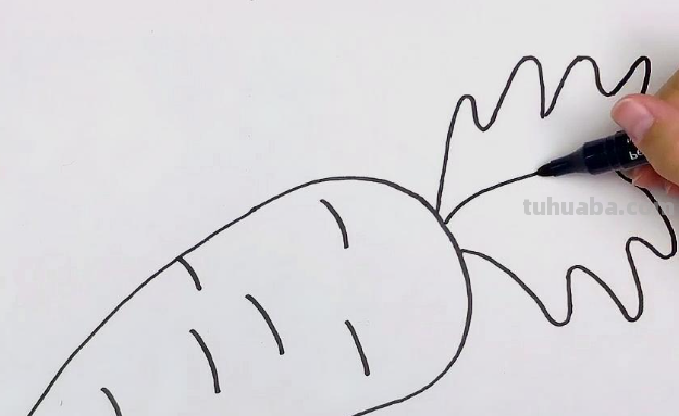 白萝卜怎么画