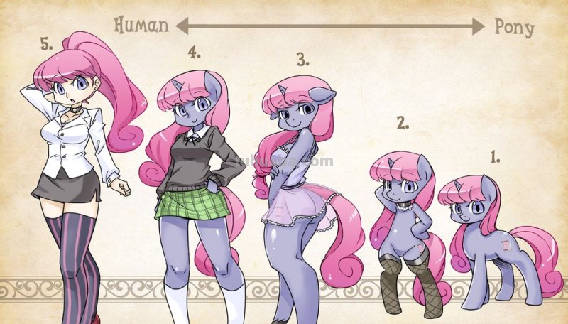 (私人定制)画小马及图秀秀一我的小马驹吧一百度贴吧 (私人定制)画小马及图秀秀一我的小马驹吧一百度贴吧