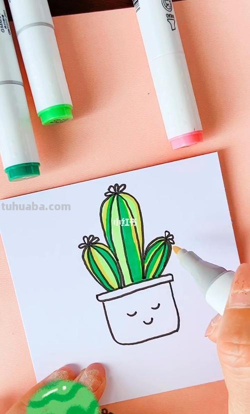 怎样画好看的仙人掌 怎样画好看的仙人掌视频