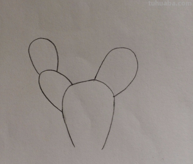 仙人掌怎么画简单又漂亮 仙人掌怎么画简单又漂亮