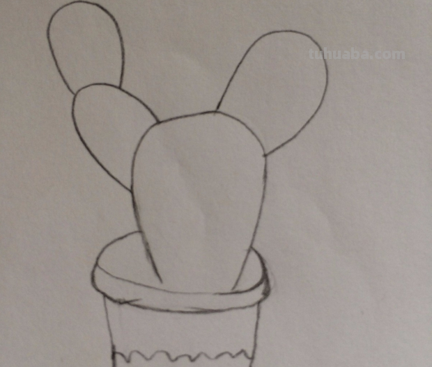 仙人掌怎么画简单又漂亮 仙人掌怎么画简单又漂亮