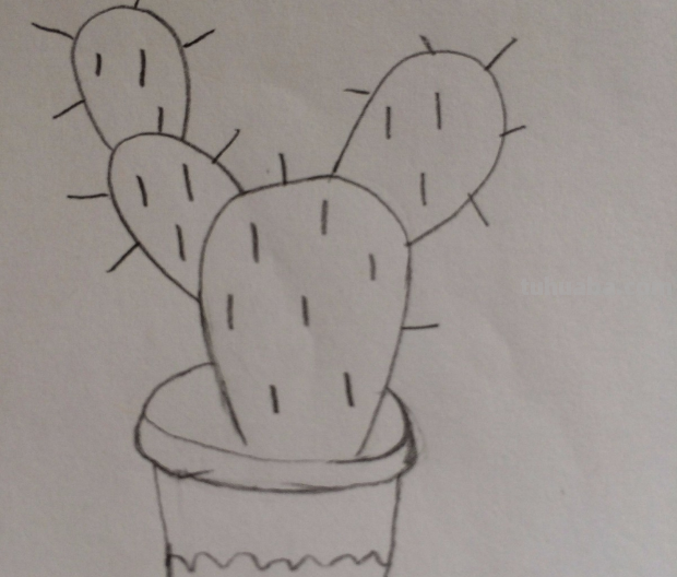 仙人掌怎么画简单又漂亮 仙人掌怎么画简单又漂亮