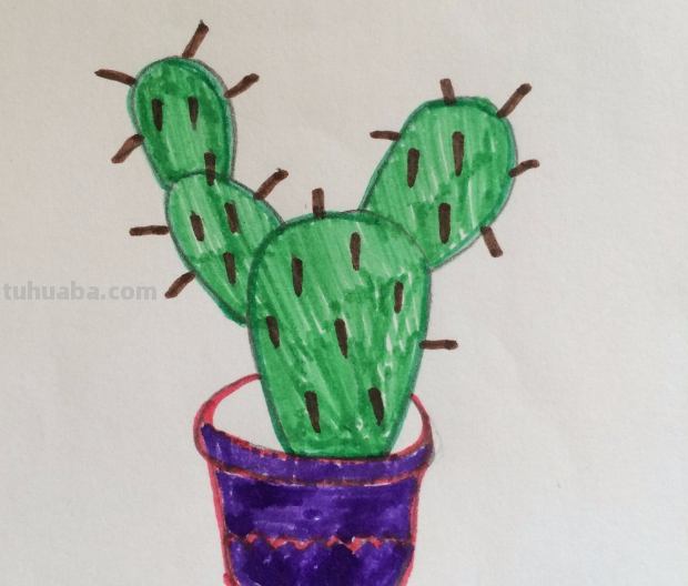 仙人掌怎么画简单又漂亮 仙人掌怎么画简单又漂亮