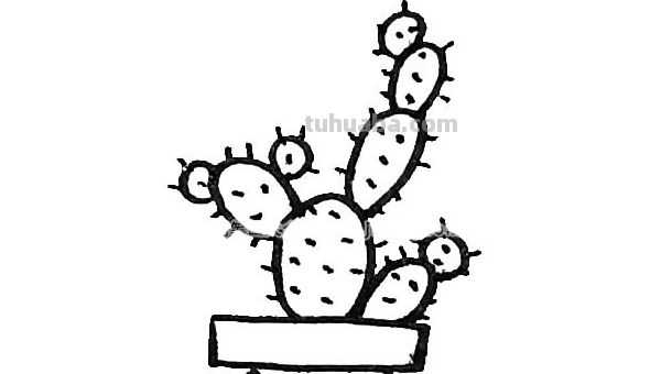 怎样画仙人掌简单又好看 怎样画仙人掌简单又好看
