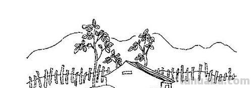 风景怎么画简笔画 如何简笔画田园风景?