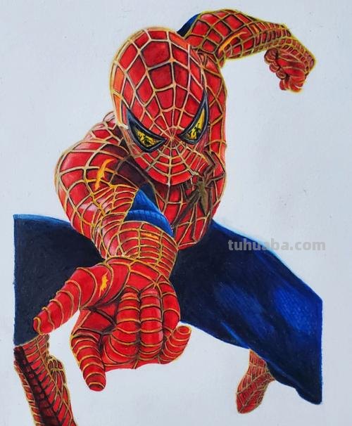 蜘蛛怎么用彩铅画 蜘蛛侠漫画怎么做？