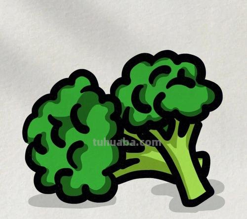 西兰花简笔画 西兰花简笔画 儿童