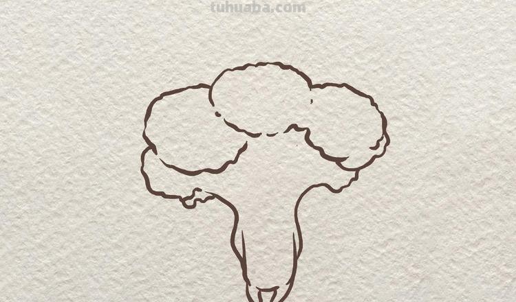 西兰花简笔画 西兰花简笔画 儿童