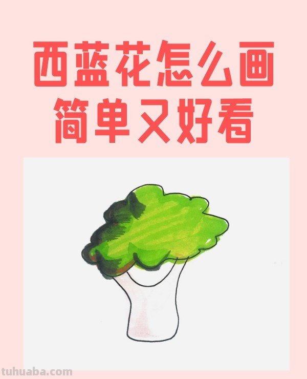 西蓝花怎么画简单又好看 西蓝花怎么画简单又好看