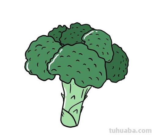 西兰花简笔画 西兰花简笔画 儿童