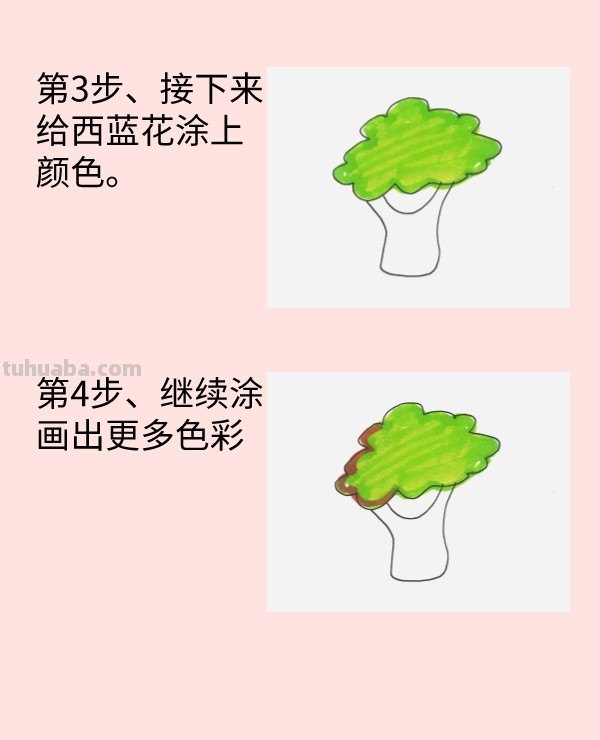 西蓝花怎么画简单又好看 西蓝花怎么画简单又好看
