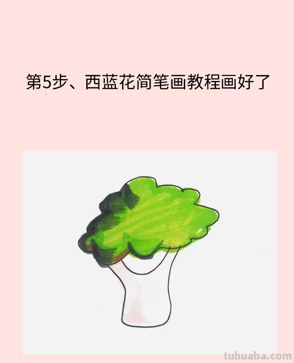 西蓝花怎么画简单又好看 西蓝花怎么画简单又好看