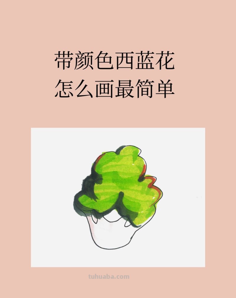 带颜色西蓝花怎么画最简单 带颜色西蓝花怎么画最简单