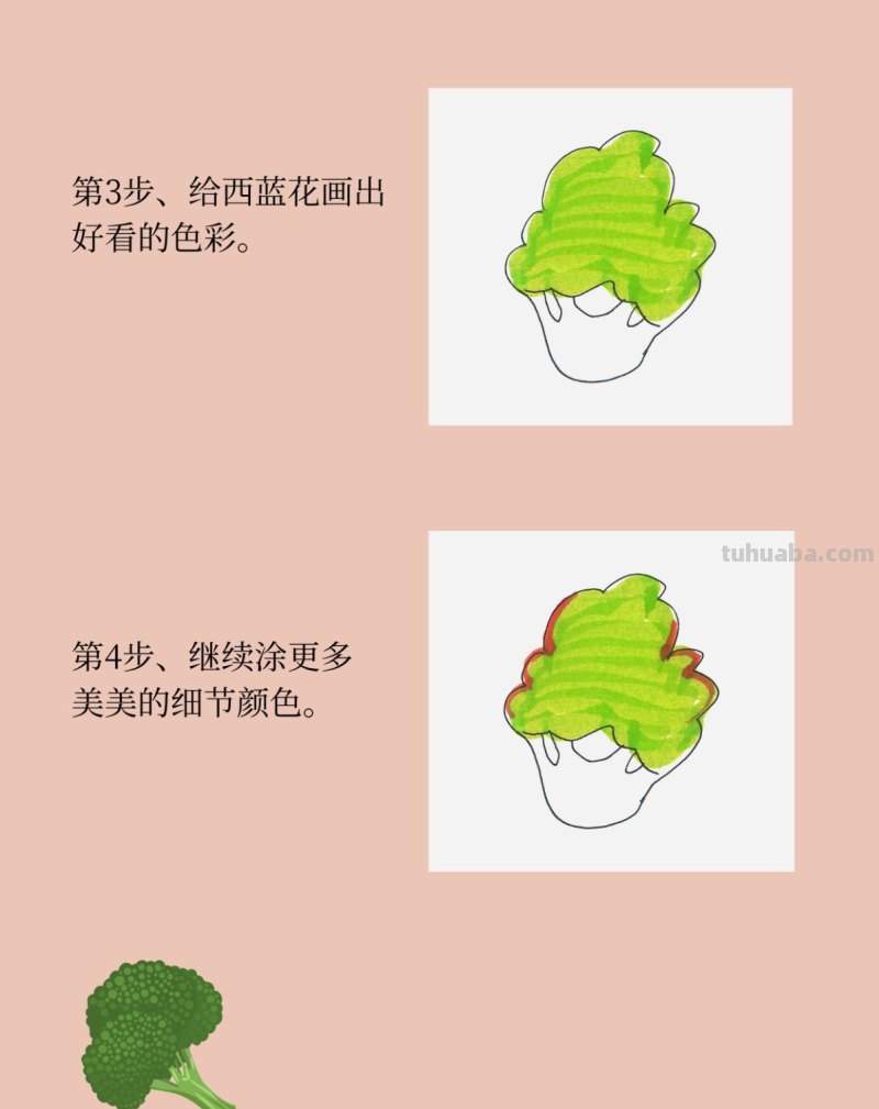 带颜色西蓝花怎么画最简单 带颜色西蓝花怎么画最简单