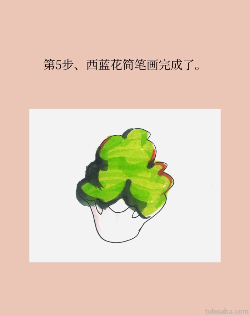 带颜色西蓝花怎么画最简单 带颜色西蓝花怎么画最简单