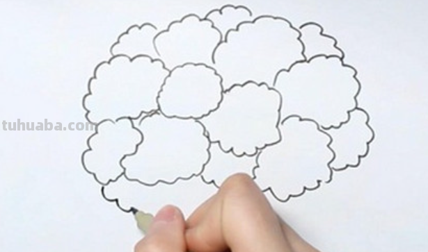 西兰花怎么画 西兰花怎么画