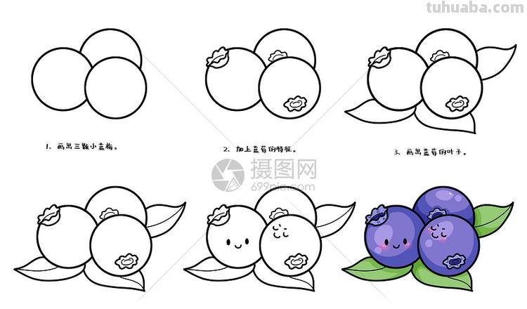 蓝莓简笔画 蓝莓简笔画图片带颜色
