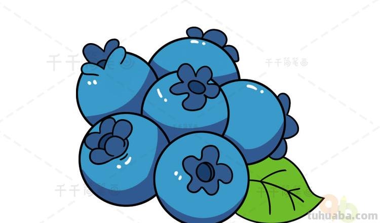 蓝莓简笔画 蓝莓简笔画图片带颜色