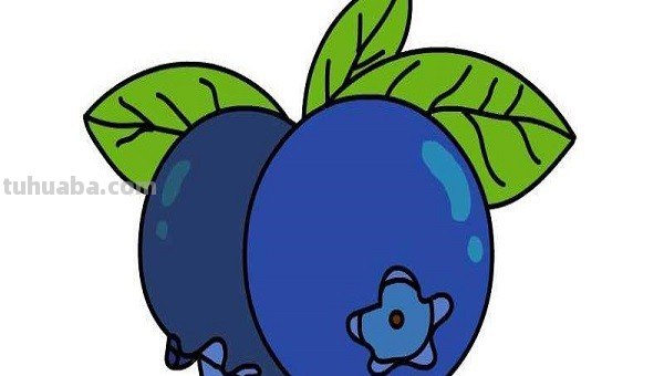 蓝莓怎么画简笔画 蓝莓怎么画简笔画