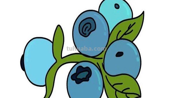 蓝莓怎么画简笔画 蓝莓怎么画简笔画