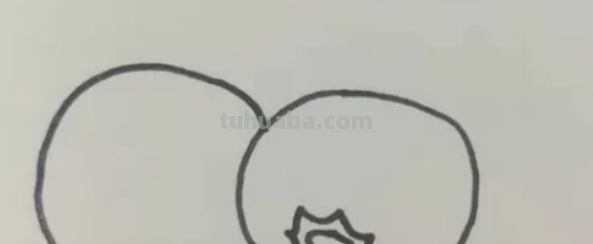 蓝莓怎么画简笔画 蓝莓怎么画简笔画