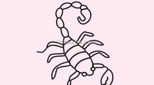 蝎子怎么画简笔画 蝎子究竟是不是昆虫？