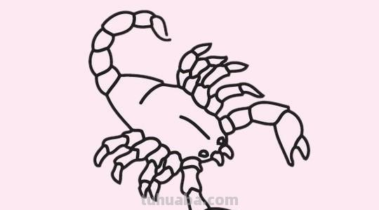 蝎子怎么画简笔画 蝎子究竟是不是昆虫?