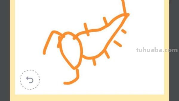 蝎子怎么画简笔画 蝎子究竟是不是昆虫? 蝎子怎么画简笔画 蝎子究竟是不是昆虫?