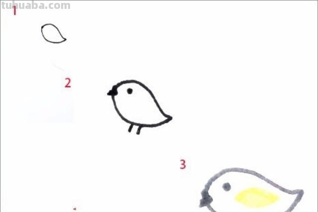 蝎子怎么画简笔画 蝎子究竟是不是昆虫? 蝎子怎么画简笔画 蝎子究竟是不是昆虫?