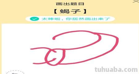 蝎子怎么画简笔画 蝎子究竟是不是昆虫? 蝎子怎么画简笔画 蝎子究竟是不是昆虫?