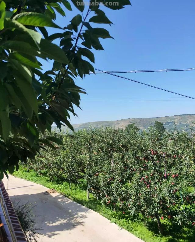 小镇印象速写 速写街景十个技巧？