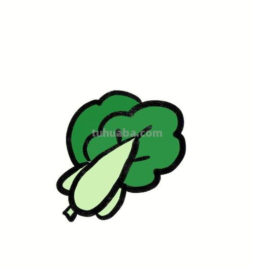 青菜简笔画 青菜简笔画怎么画