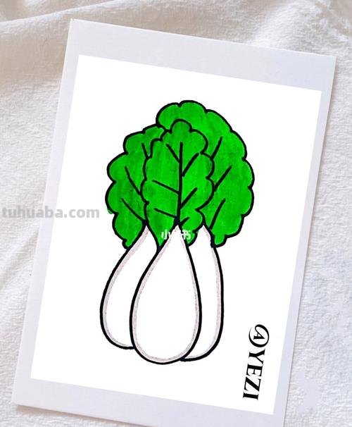 青菜简笔画 青菜简笔画怎么画