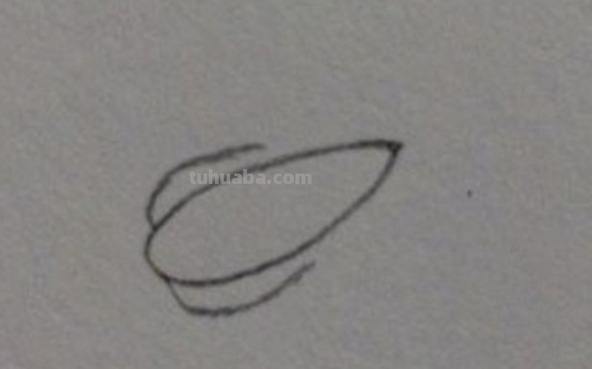 小青菜怎么画 小青菜怎么画