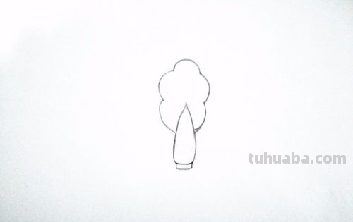 青菜简笔画怎么画 青菜简笔画怎么画