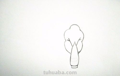 青菜简笔画怎么画 青菜简笔画怎么画