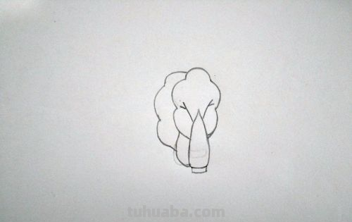 青菜简笔画怎么画 青菜简笔画怎么画