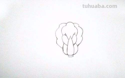 青菜简笔画怎么画 青菜简笔画怎么画