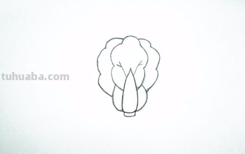 青菜简笔画怎么画 青菜简笔画怎么画