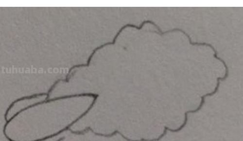 青菜简笔画 青菜简笔画