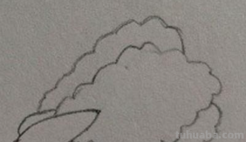 青菜简笔画 青菜简笔画