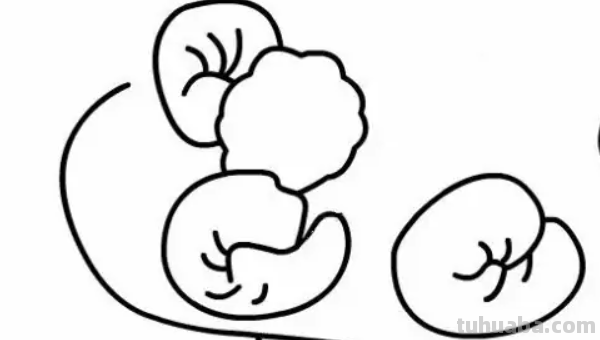 一盘青菜简笔画 一盘青菜简笔画