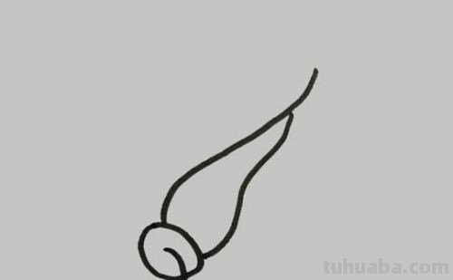 蔬菜怎么画简笔画 蔬菜怎么画简笔画