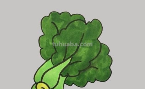 蔬菜怎么画简笔画 蔬菜怎么画简笔画