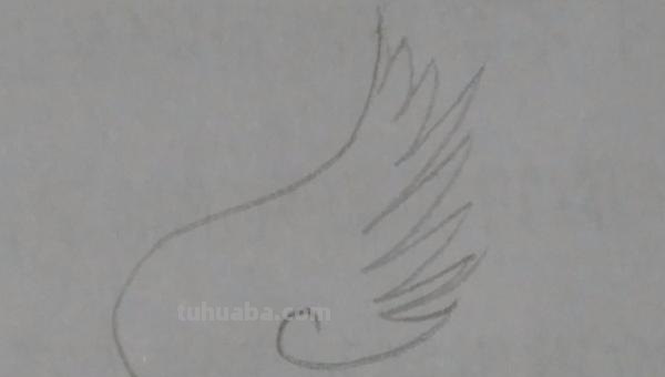 翅膀怎么画简笔画 翅膀,简笔画,步骤教程? 翅膀怎么画简笔画 翅膀,简笔画,步骤教程?