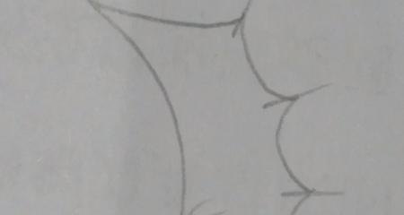 翅膀怎么画简笔画 翅膀,简笔画,步骤教程? 翅膀怎么画简笔画 翅膀,简笔画,步骤教程?