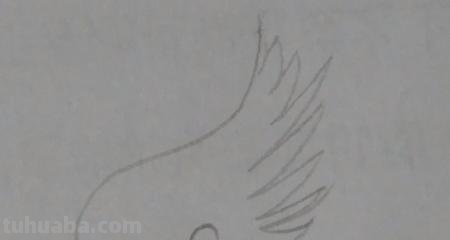 翅膀怎么画简笔画 翅膀,简笔画,步骤教程? 翅膀怎么画简笔画 翅膀,简笔画,步骤教程?